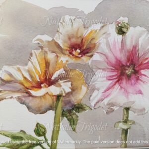 Roses trémières - Nathalie Trigodet-artiste peintre - La Rochelle